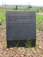 tweedie-mandela-monument-14