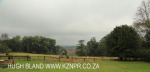 Howick Fairfell Farm - paddocks (2)