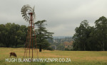 Howick Fairfell Farm - paddocks (7)