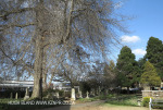 Howich St Lukes Church - grave views (2)