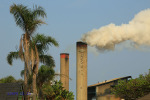 Sezela Sugar Mill - smokestacks (2)