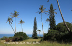 Umzumbe - Pumula - St Elmos Mission (closed ) - S 30.37.37 E 30.32 (17)