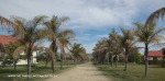 Inkamana-Abbey-roadway