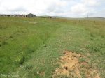 Fort-Marshall-offRr68-at-s28-22-24-e-30-53-49-600-metres-down-gravel-road-on-right-s-28-22-39-e-30-51-02-elev-1156m-12