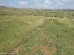Fort-Marshall-off-R68-at-s28-22-24-e-30-53-49-600-metres-down-gravel-road-on-right-s-28-22-39-e-30-51-02-elev-1156m-17