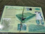 isandlwana-interpretative-dispaly-s-28-20-52-e-30-39-2