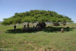 isandlwana-views-3