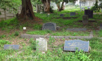 Isipingo Cemetery Grave Hillary David Nicholson (2)