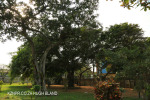 Isipingo - Dick Kings House - S 29.58.681 E 30.55 (2)
