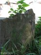 isipingo-cemetary-grave-albert-h-1871