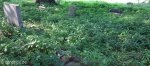 isipingo-cemetary-grave-general-view-4