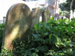 isipingo-cemetary-grave-william-g-mack-at-byne-1912-1
