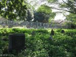 isipingo-cemetary-graves-general-views-3