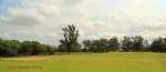 Isipingo Golf Course & Country Club- Fairway views  (14)