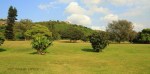 Isipingo Golf Course & Country Club- Fairway views  (9)