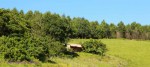 Ixopo Buddhist Retreat - Kuti