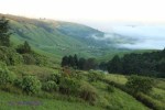 Ixopo Buddhist Retreat - forest walk (1)