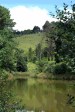 Ixopo Buddist Retreat - forest walk (5)
