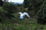 Ixopo Buddhist Retreat - forest walk (6)