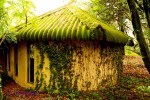Ixopo Buddhist Retreat - meditation room (3)