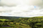 Ixopo Buddhist Retreat - outlook from the retreat (9)