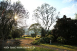 Korongo Valley Guest Farm -  (20)