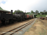 Ixopo Patons Country Railway loco NGG11 No 55  (5).