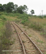 Ixopo Patons Country Railway rail lines (1)
