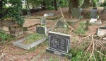 Ixopo - St Johns Anglican Church - Grave - Denise & Walter Norman