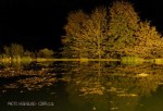 Kamberg - Cleopatra Mountain Lodge - lake night scene (3)