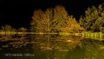 Kamberg - Cleopatra Mountain Lodge - lake night scene (5).