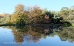 Kamberg - Cleopatra Mountain Lodge - lake views (1)