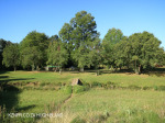 Glengarry Holida Farm  Golf Course . (9)