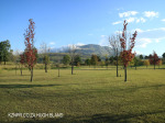 Glengarry Holida Farm  Golf Course  (12)