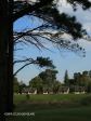 Glengarry  Holiday farm Chalets (29).