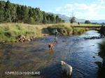 Glengarry Holiday farm river views (3)