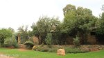 Highmoor Park - Kamberg (4)