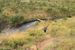 Highmoor Park - Kamberg - River Walk (1)