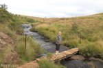 Highmoor Park - Kamberg - River Walk (2)