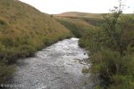 Highmoor Park - Kamberg - River Walk (3)