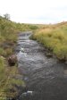 Highmoor Park - Kamberg - River Walk (4)