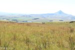 Kamberg - Gladstone Nose Walk - 8km (41)