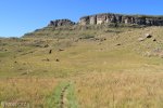 Kamberg - Gladstone Nose Walk - 8km (43)