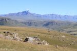 Kamberg - Gladstone Nose Walk - 8km (52)