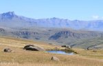 Kamberg - Gladstone Nose Walk - 8km (55)