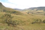 Kamberg - Obathwa Falls Walk - 6kms (10)