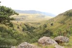 Kamberg - Obathwa Falls Walk - 6kms (31)