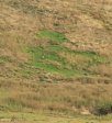 Kamberg - Obathwa Falls Walk - 6kms - Eland Herd