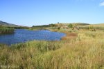 Kamberg - Trout hatcheries dam (3)