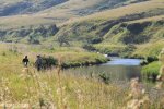 Kamberg - Trout hatcheries stream (2)